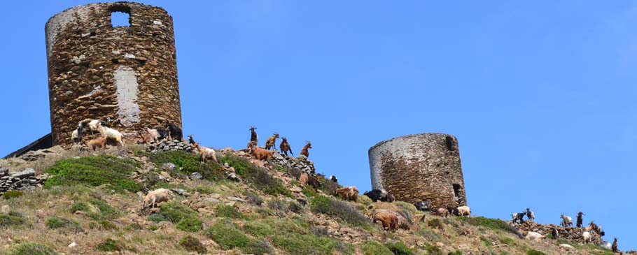 moulin cap corse